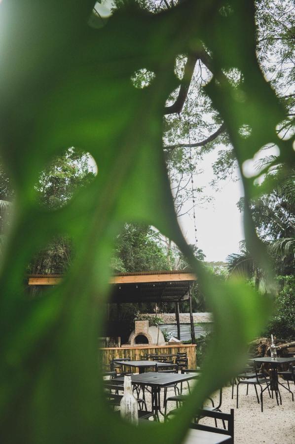 Lost Boyz Hostel Playa Santa Teresa  Buitenkant foto